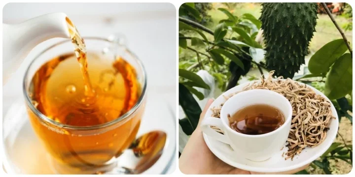 Uống trà mãng cầu có những lợi ích gì cho sức khỏe?